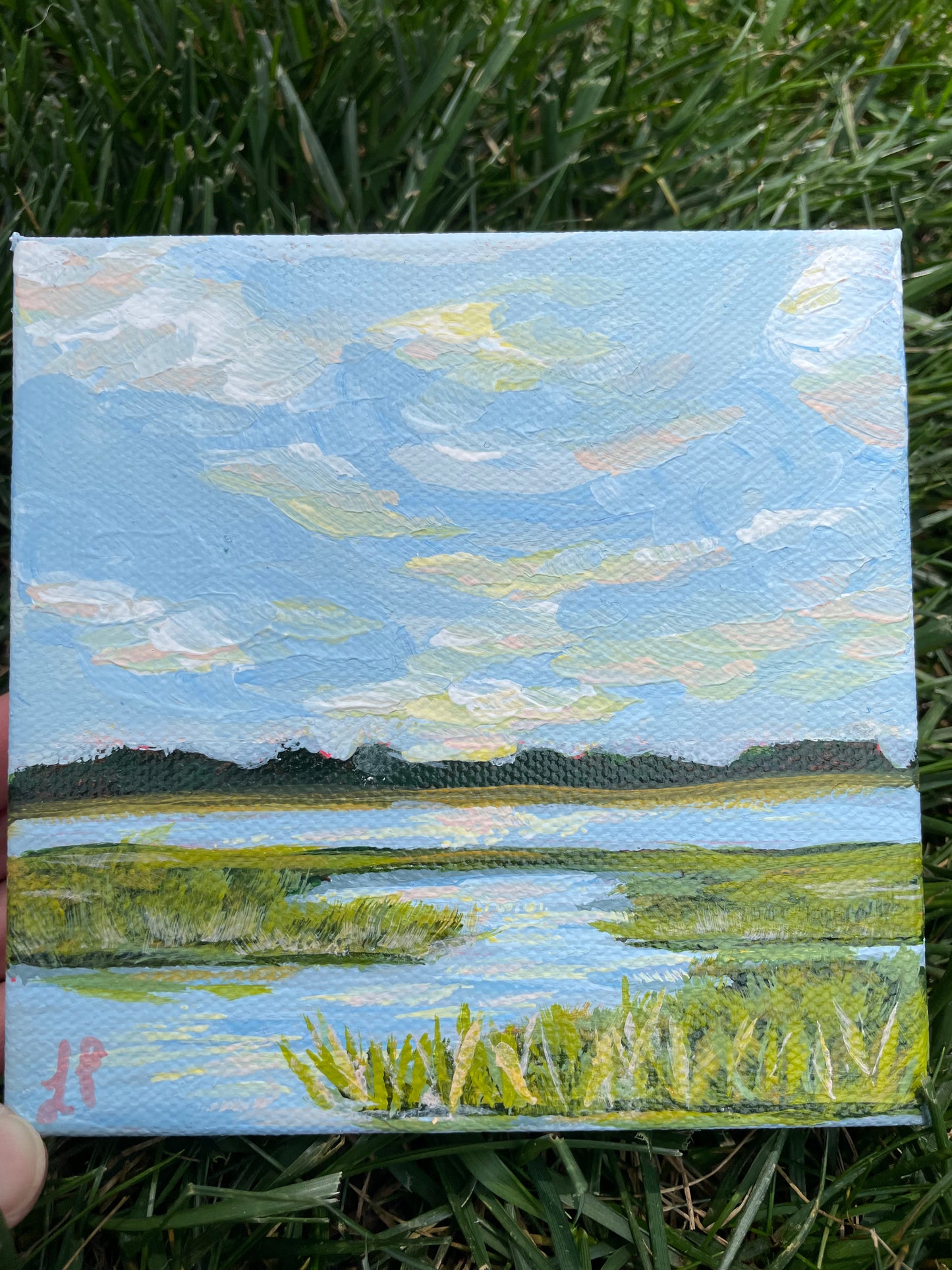Marsh mini #3