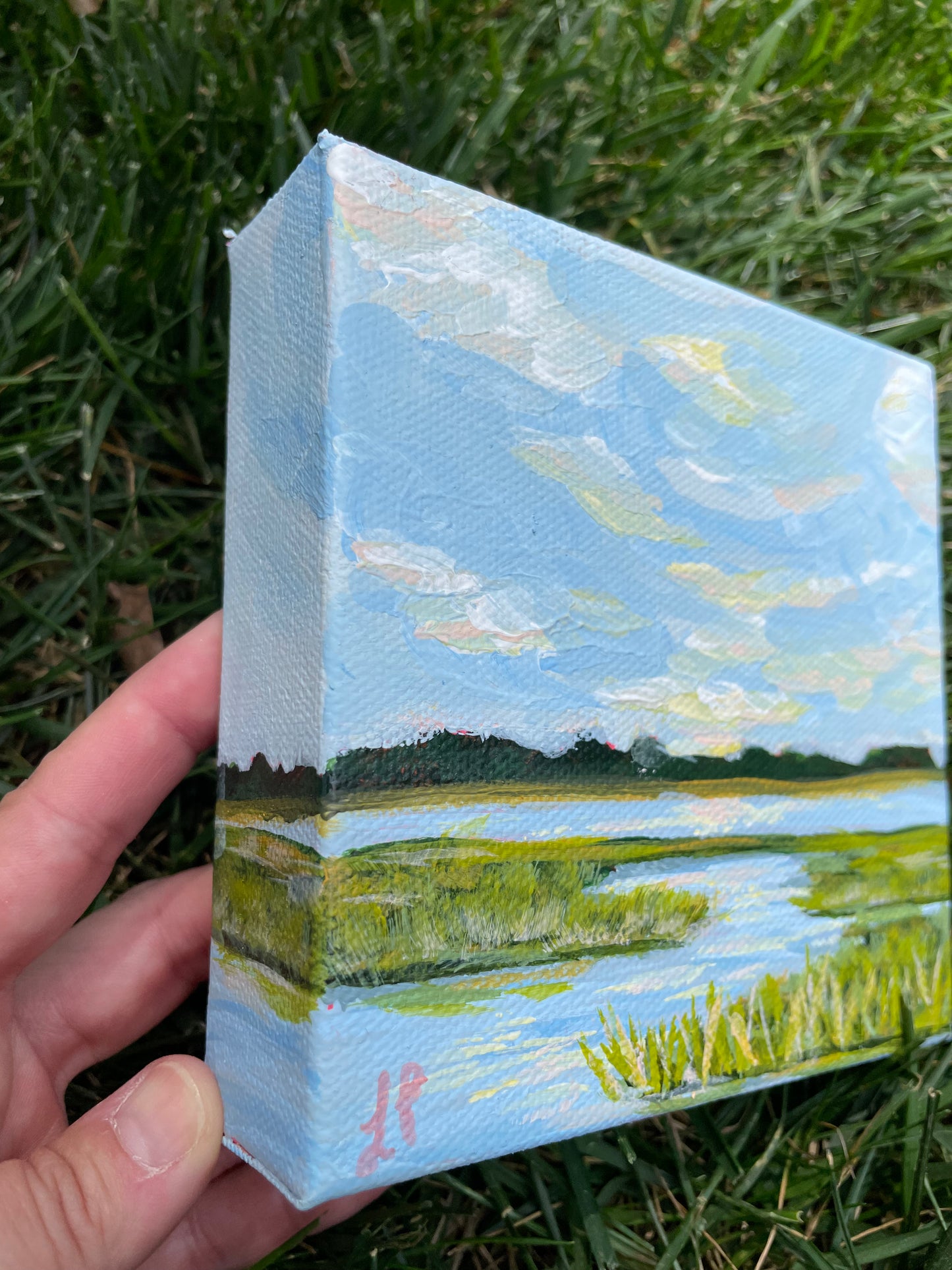 Marsh mini #3