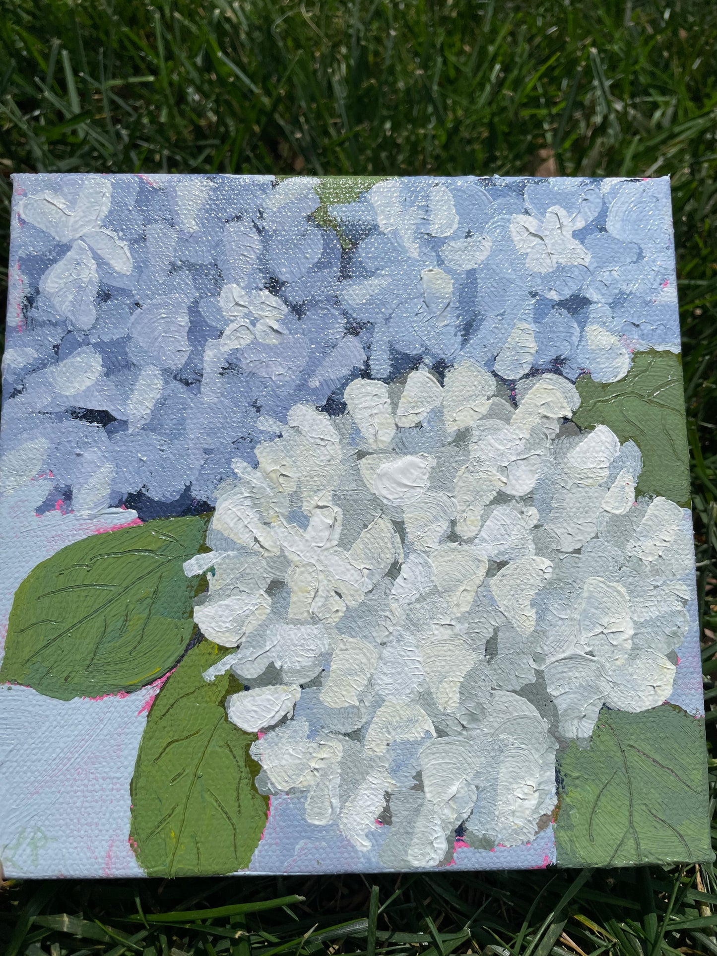 Hydrangea Mini #4