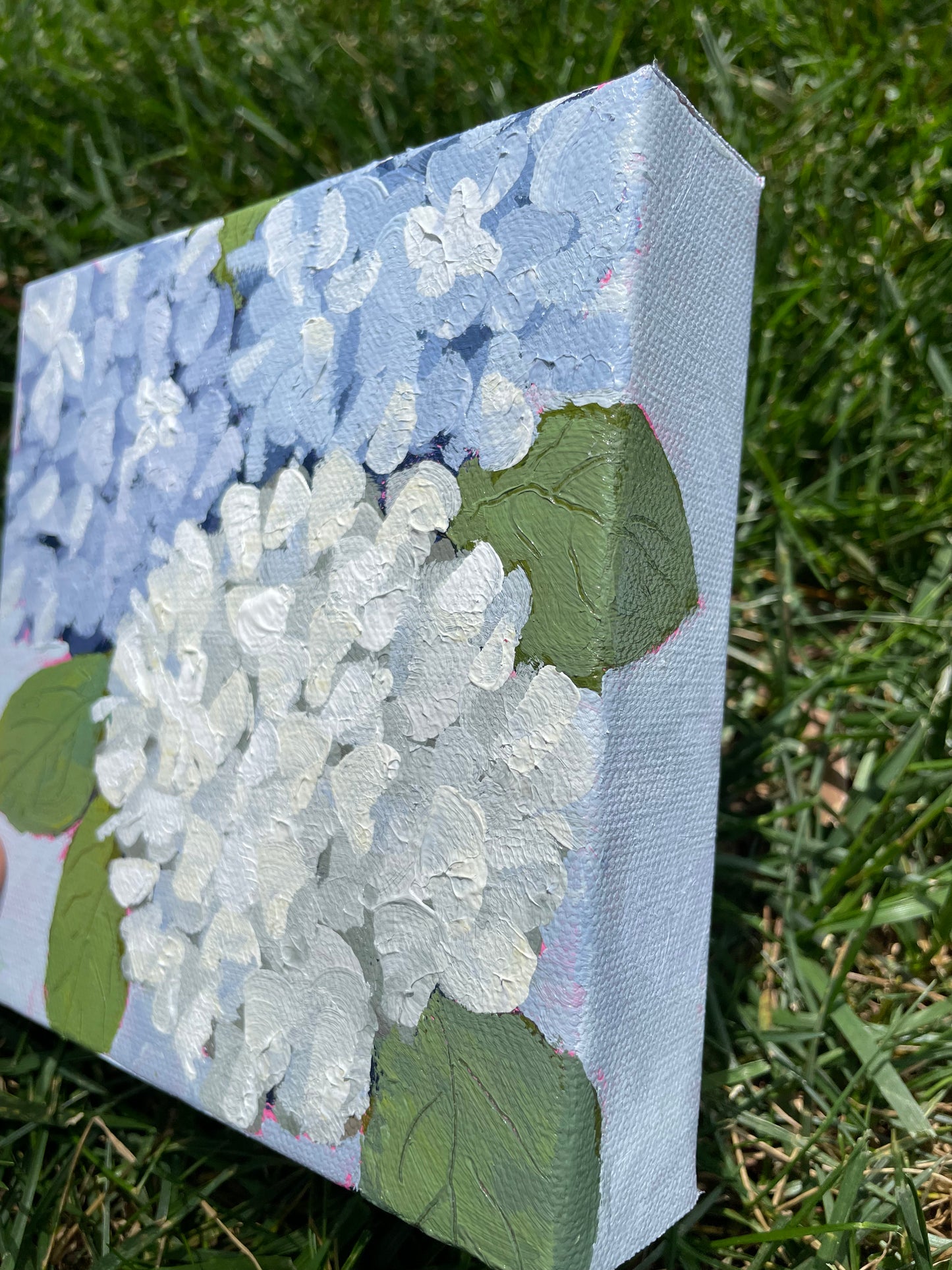 Hydrangea Mini #4