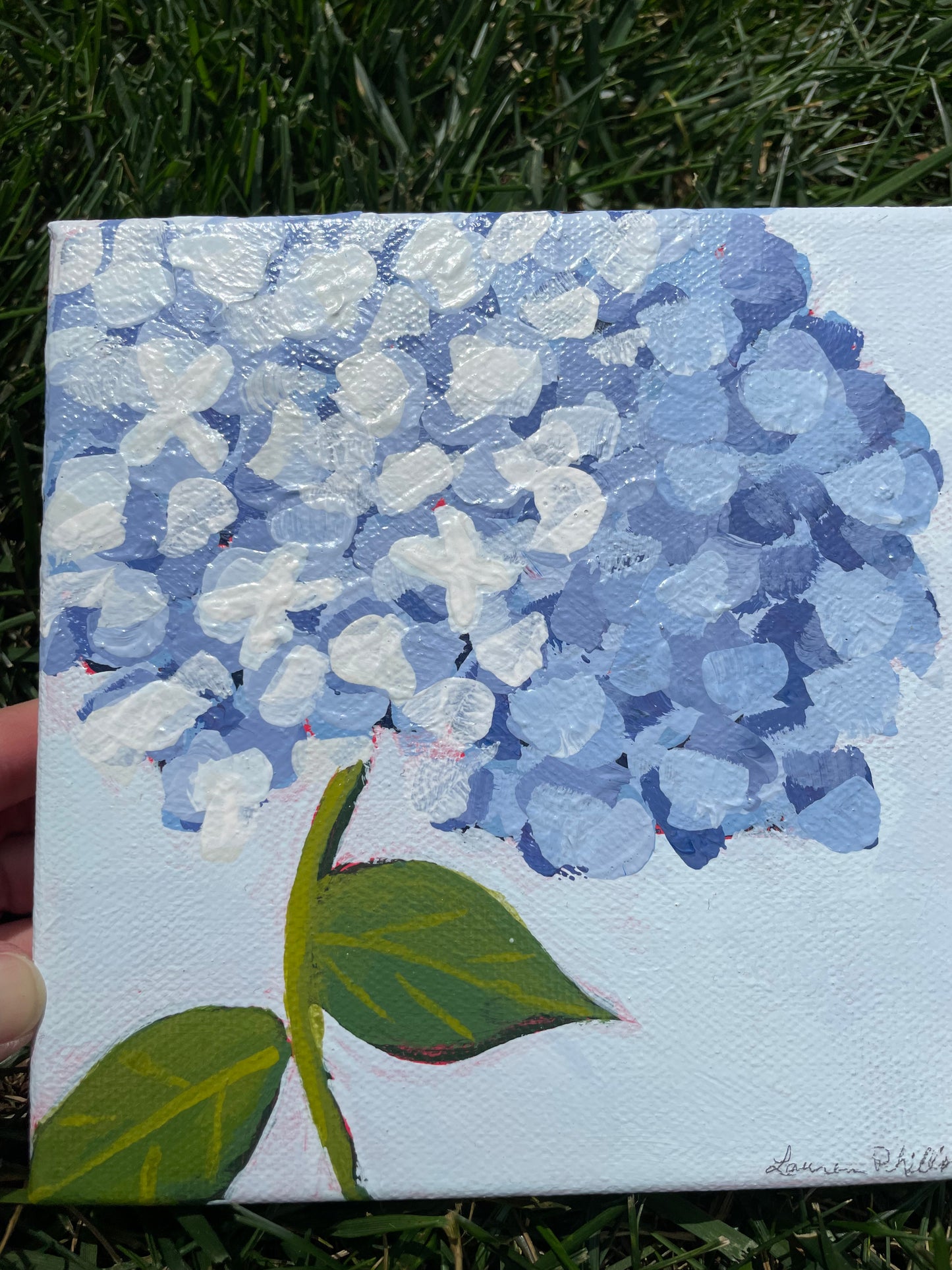 Hydrangea Mini #6