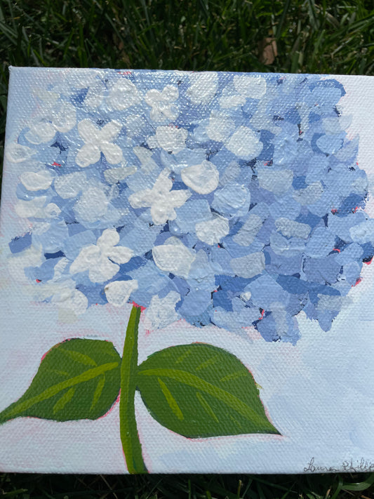 Hydrangea Mini #5